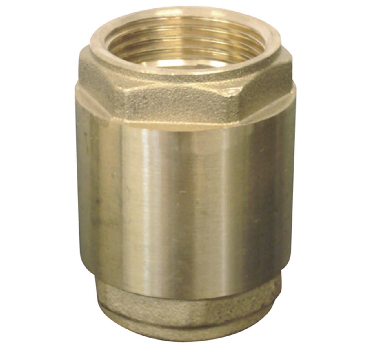 Federbelastetes Rückschlagventil